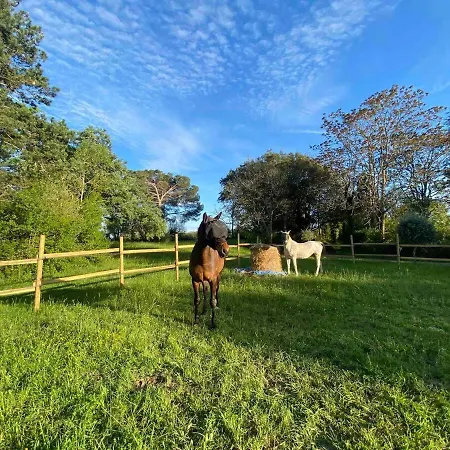 Domaine En Bélard Casa vacanze Razengues
