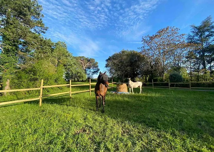 Domaine En Bélard Casa vacanze Razengues